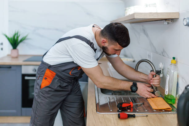 Best Local Plumber Services  in Buffalo Center, IA