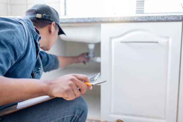Best Commercial Plumbing Services  in Buffalo Center, IA