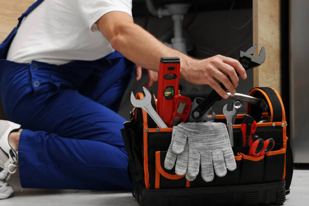 Best Plumbing Inspection Services  in Buffalo Center, IA