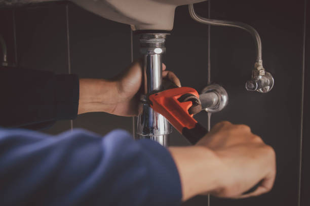 Best Plumbing Services Near Me  in Buffalo Center, IA